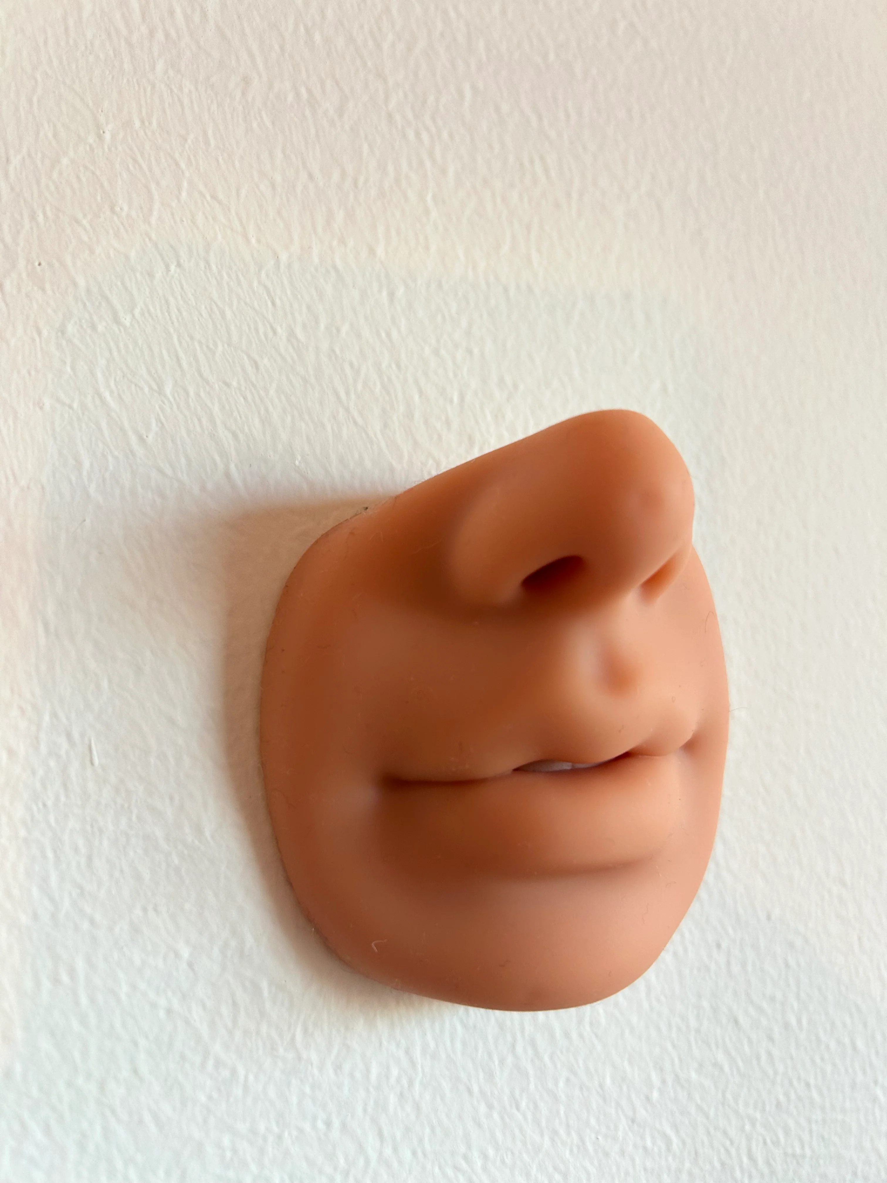 Editable Aesthetics Course Manuals for Training Providers - Ready-Made